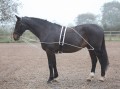 Lunging Aid